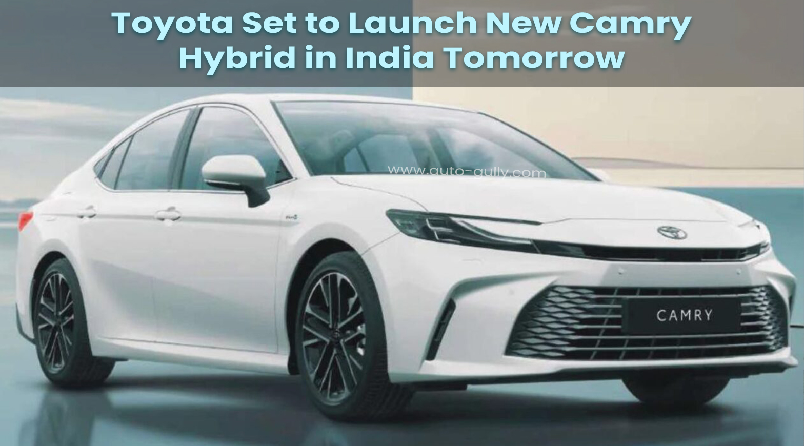 Stripchat tyler boom